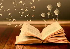 Livre-ouvert.webp