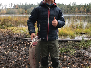 Fiske!