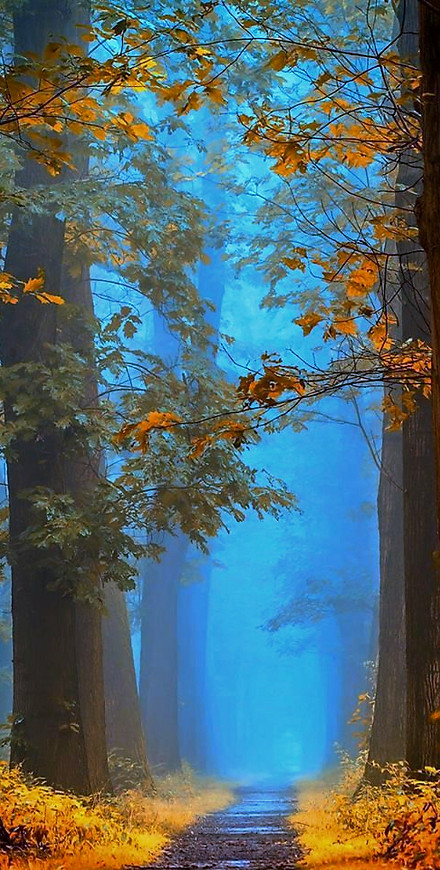 Nature is healing.
