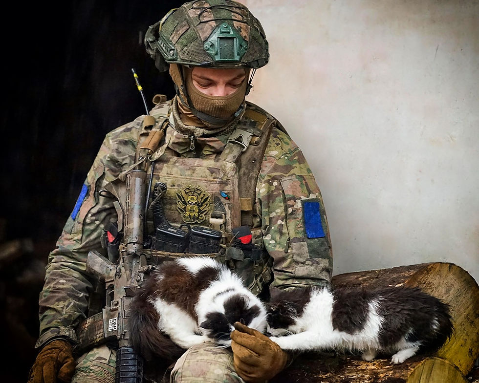Warmth at the Heart of War