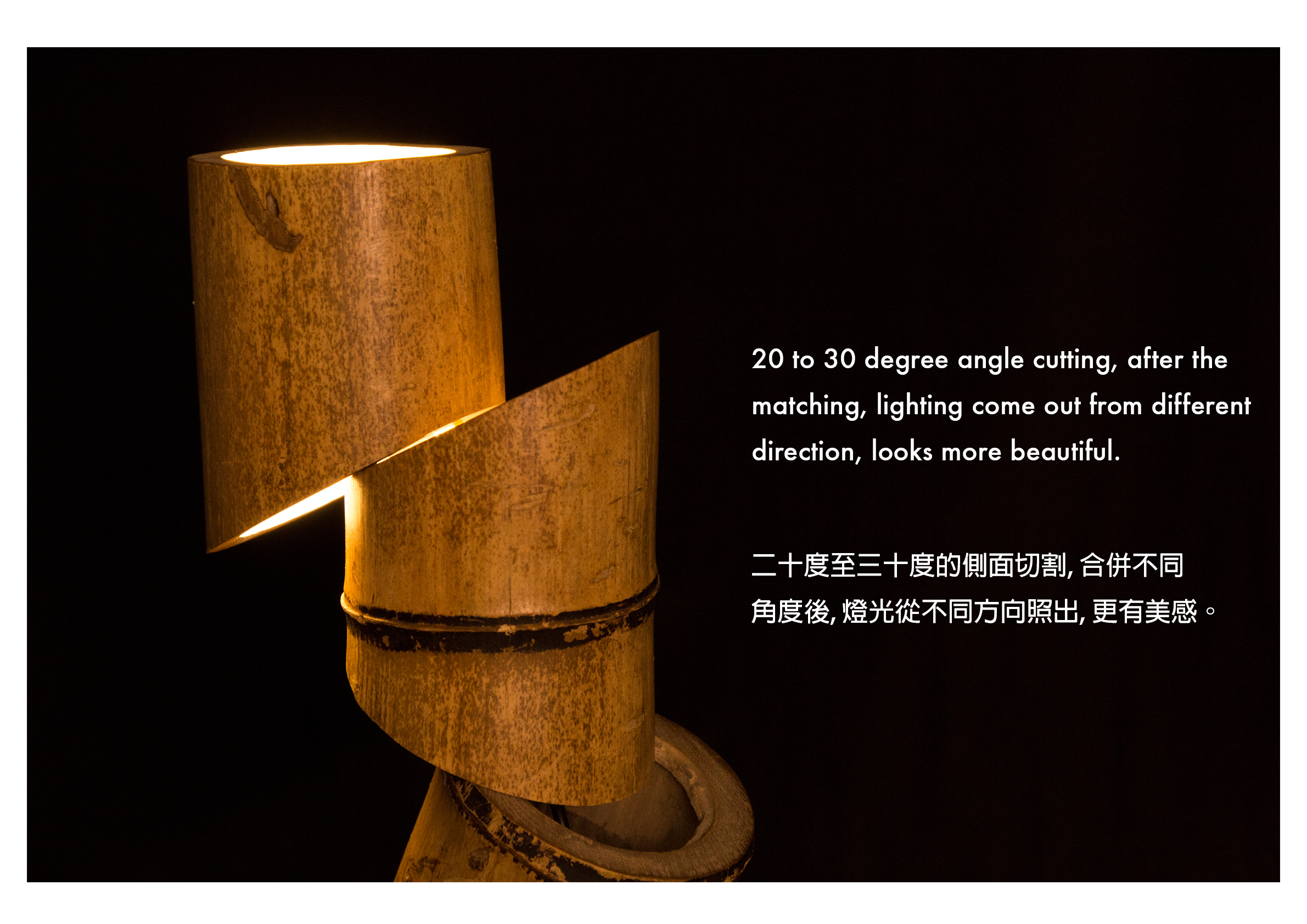 bamboo5