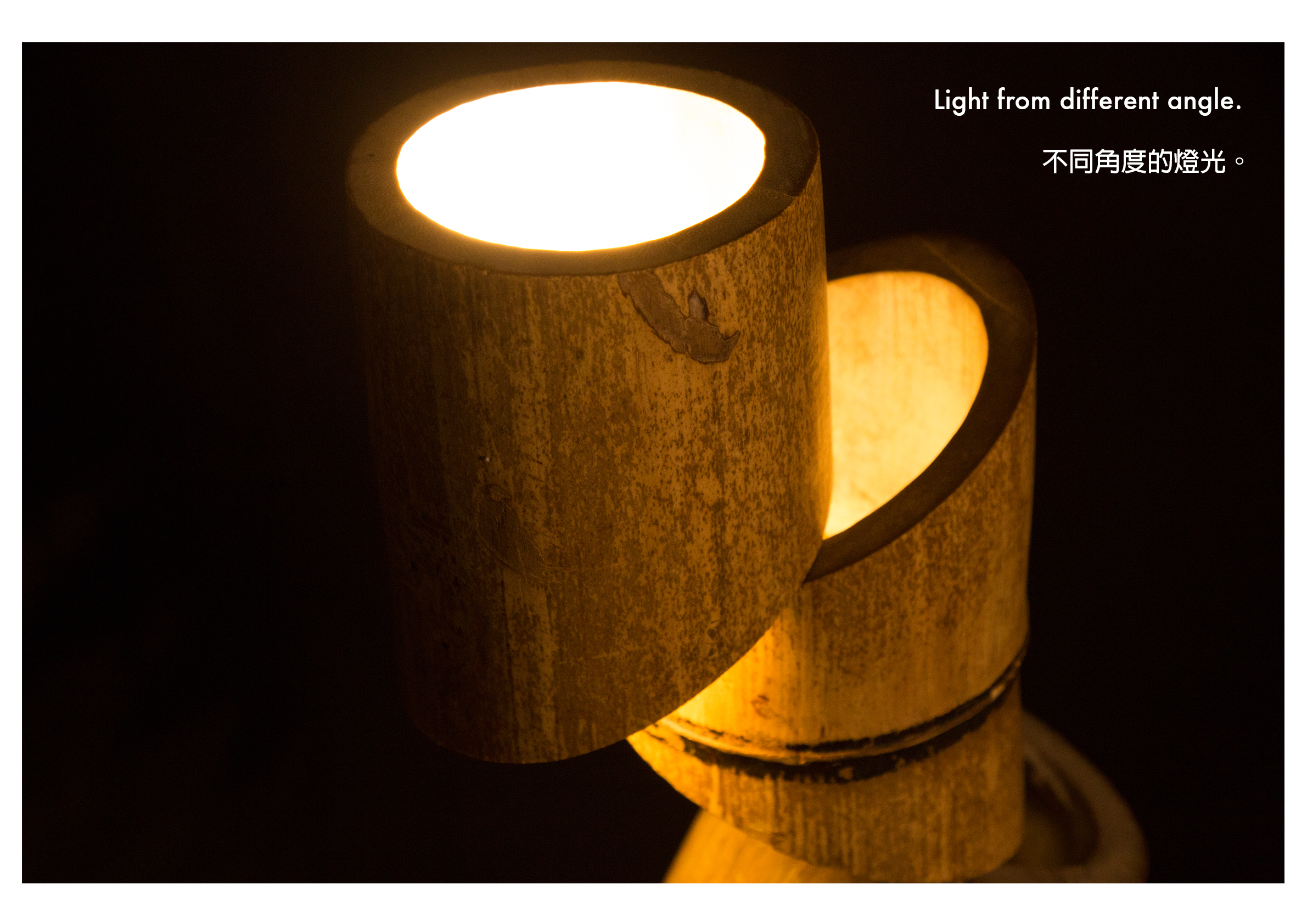 bamboo6