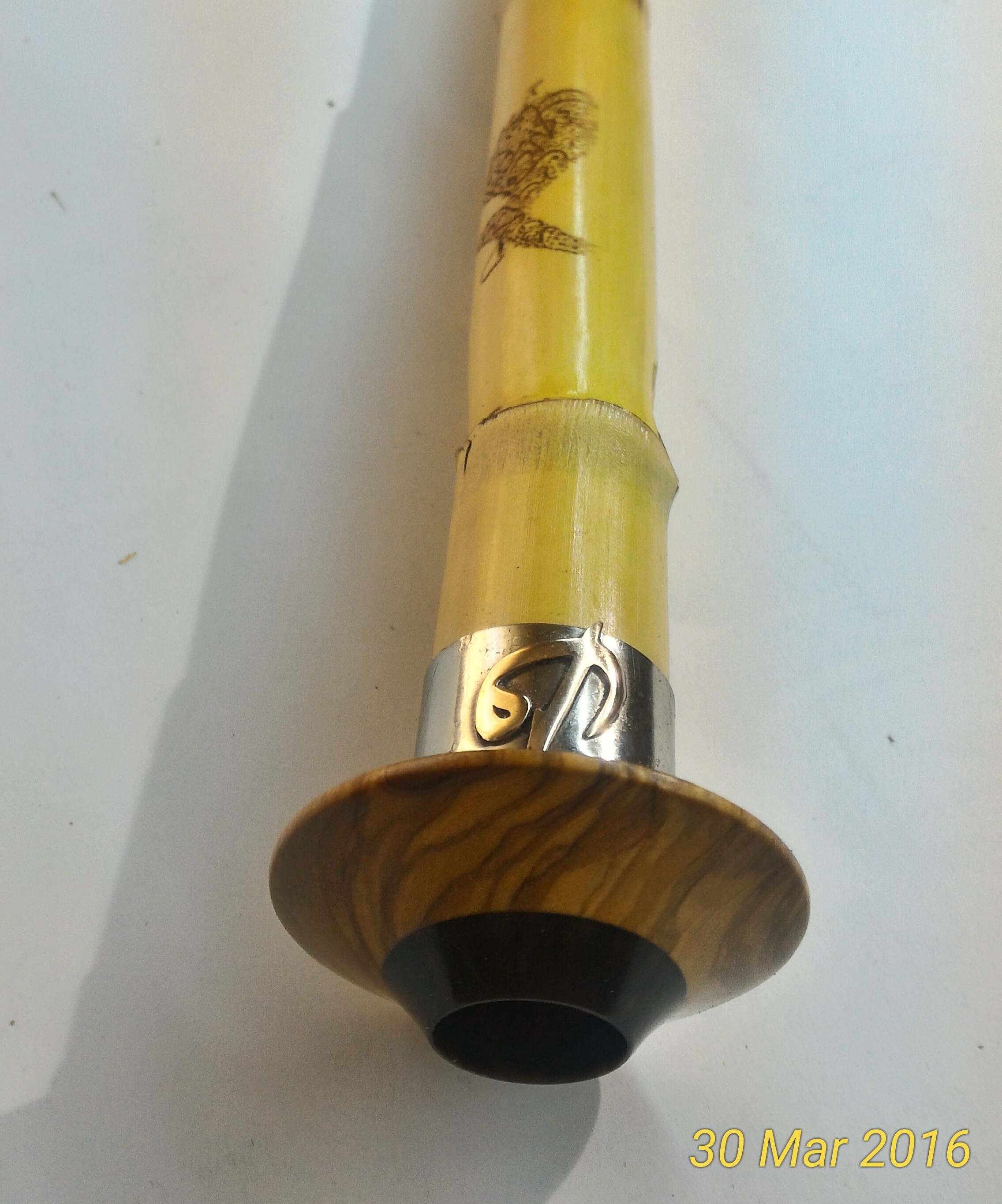 Zeytin ağacı başpare