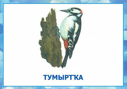 тумыртҡа