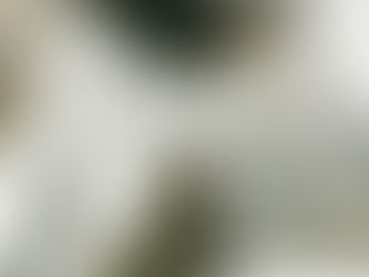 Weekly Market Report - December 24, 2024