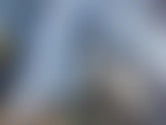 Weekly Market Report - January 20, 2026