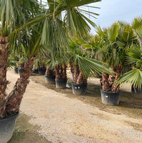 Photo de Romaric Joly (4).jpg