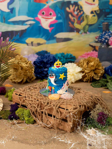 Niagara photographer, welland photographer , st.catharines photographer, niagara photography studio , niagara cake smash photography , niagara family photographer , baby shark birthday 