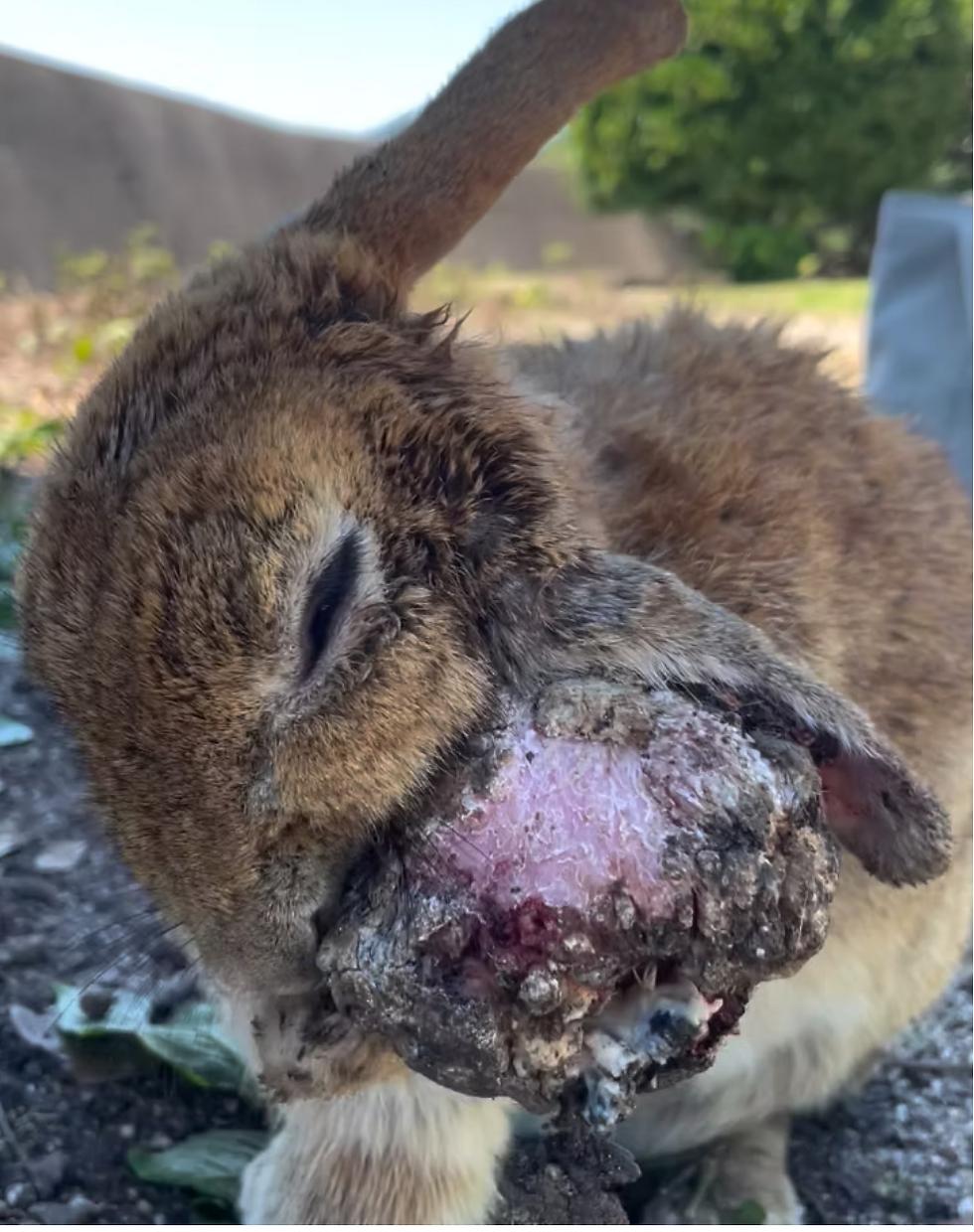 Size of her tumor was breathtaking