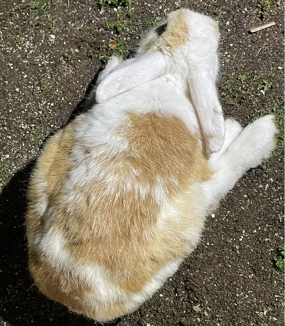 He was not able to stand up the night before he passed.