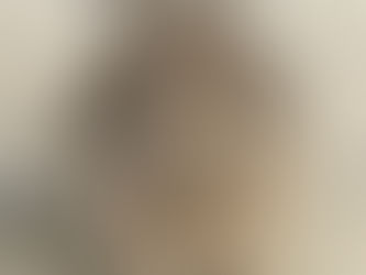 何故ウサギの医療救出に反対するのか?