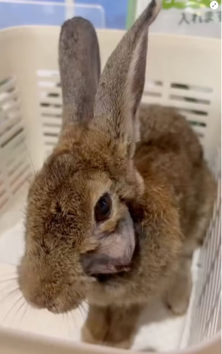 She endured tough treatment for over 3 weeks