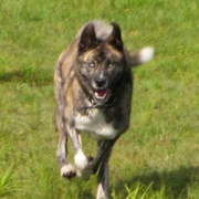 Screen Shot 2023-03-19 at 8.18.41 AM.png