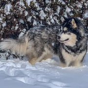 Screen Shot 2023-06-01 at 9.28.15 AM.png