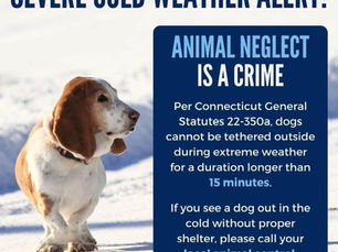 Severe Cold Weather Protocol Extended to Noon Feb. 15