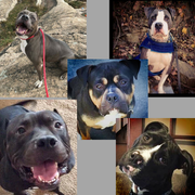 Untitled design-2.png