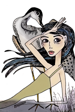 The Tell-Tale Godwit