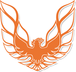 falcon services ,mandurah