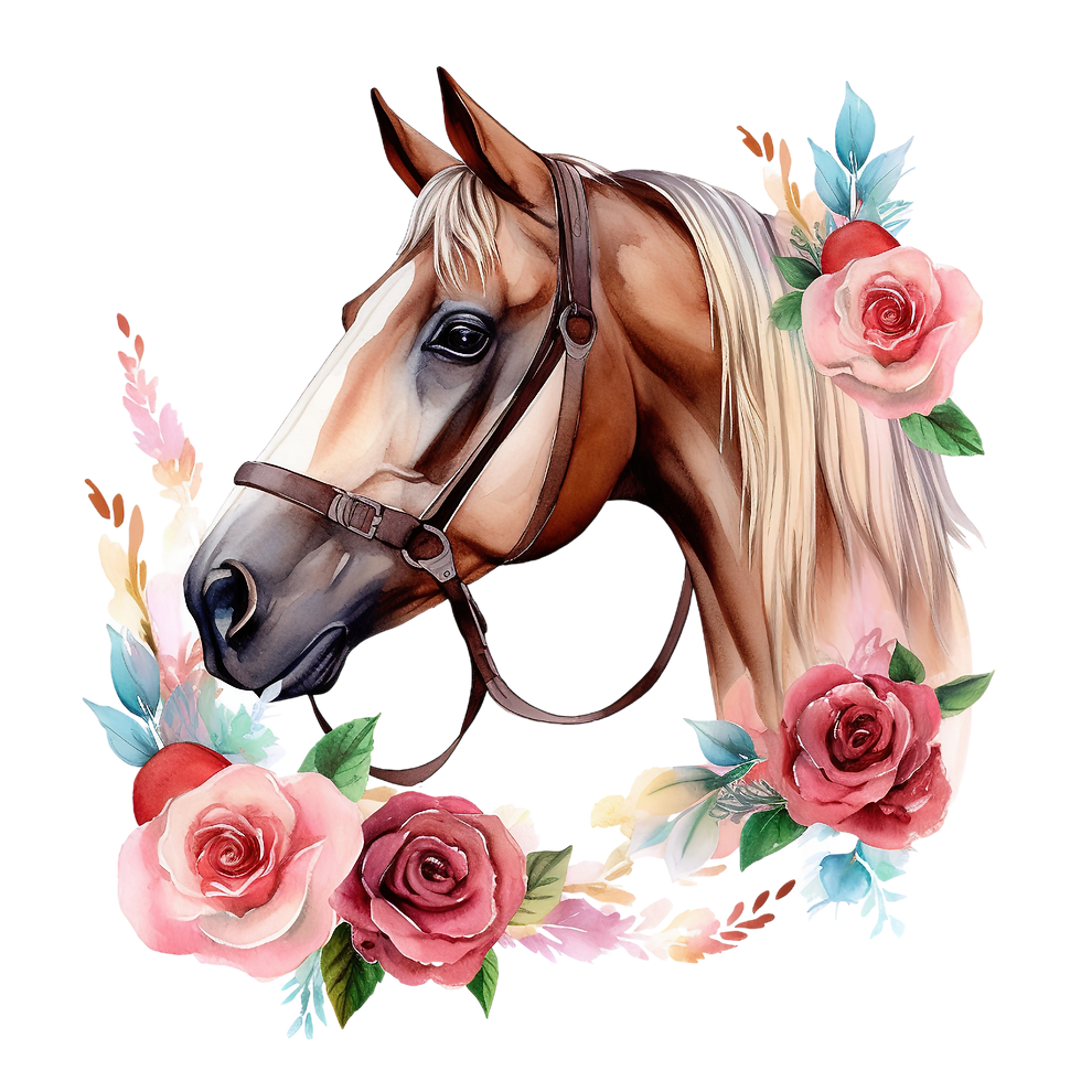 Motivational Horse Rider Shirt: Wanna Ride? - BT00101-1