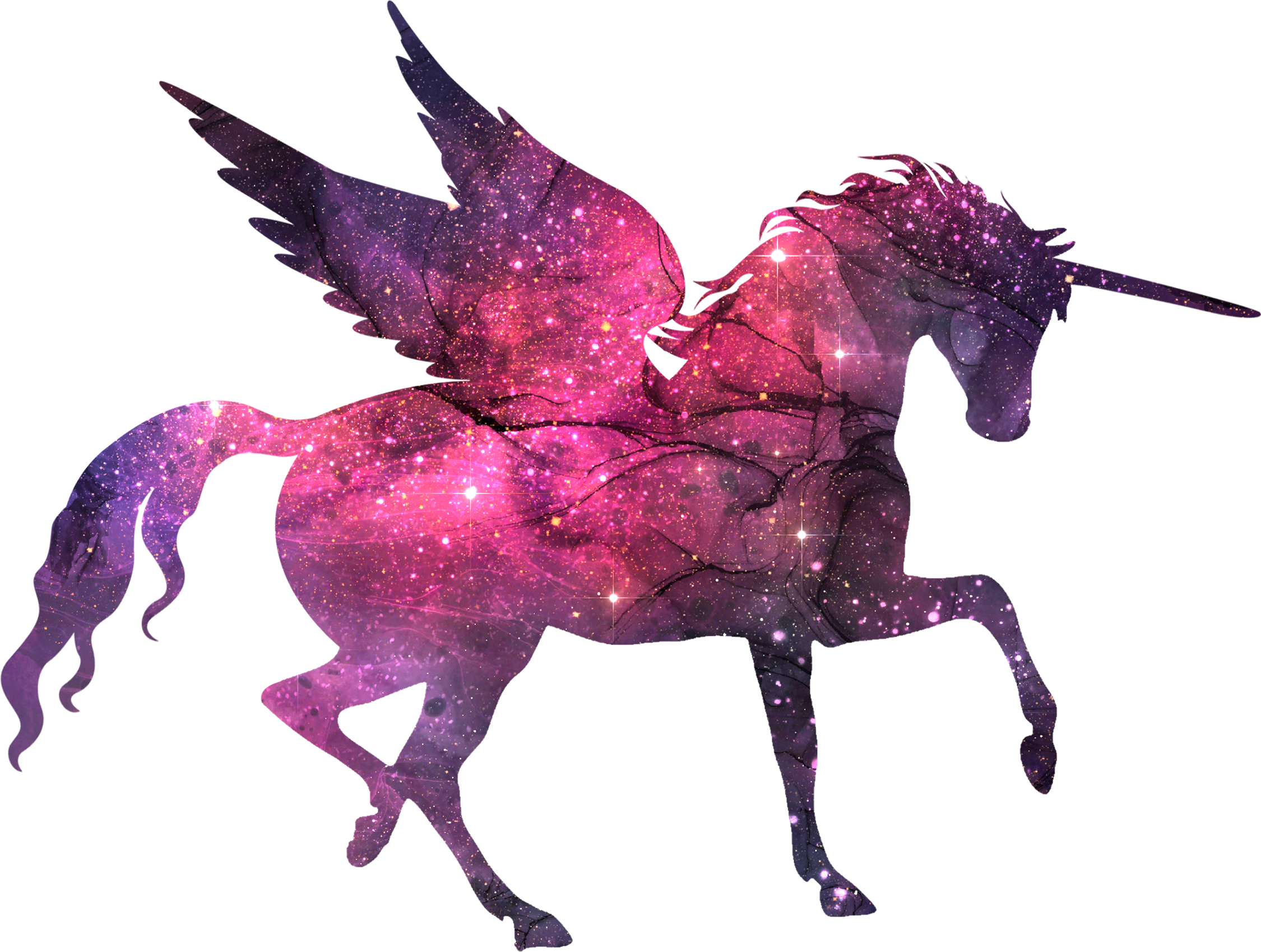 Galactic Unicorn/Alicorn v19 - BT00232-1