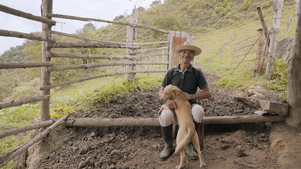 Viejos Amigos