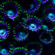 The Ocean is a Strange Place After Dark