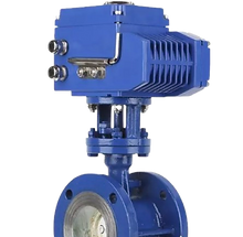 image-removebg-preview (21).png