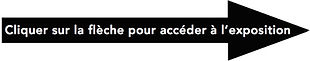 Lien vers l'expo_.jpg