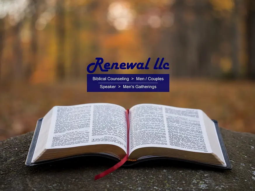 Biblical Christian Counseling for Men and Couples