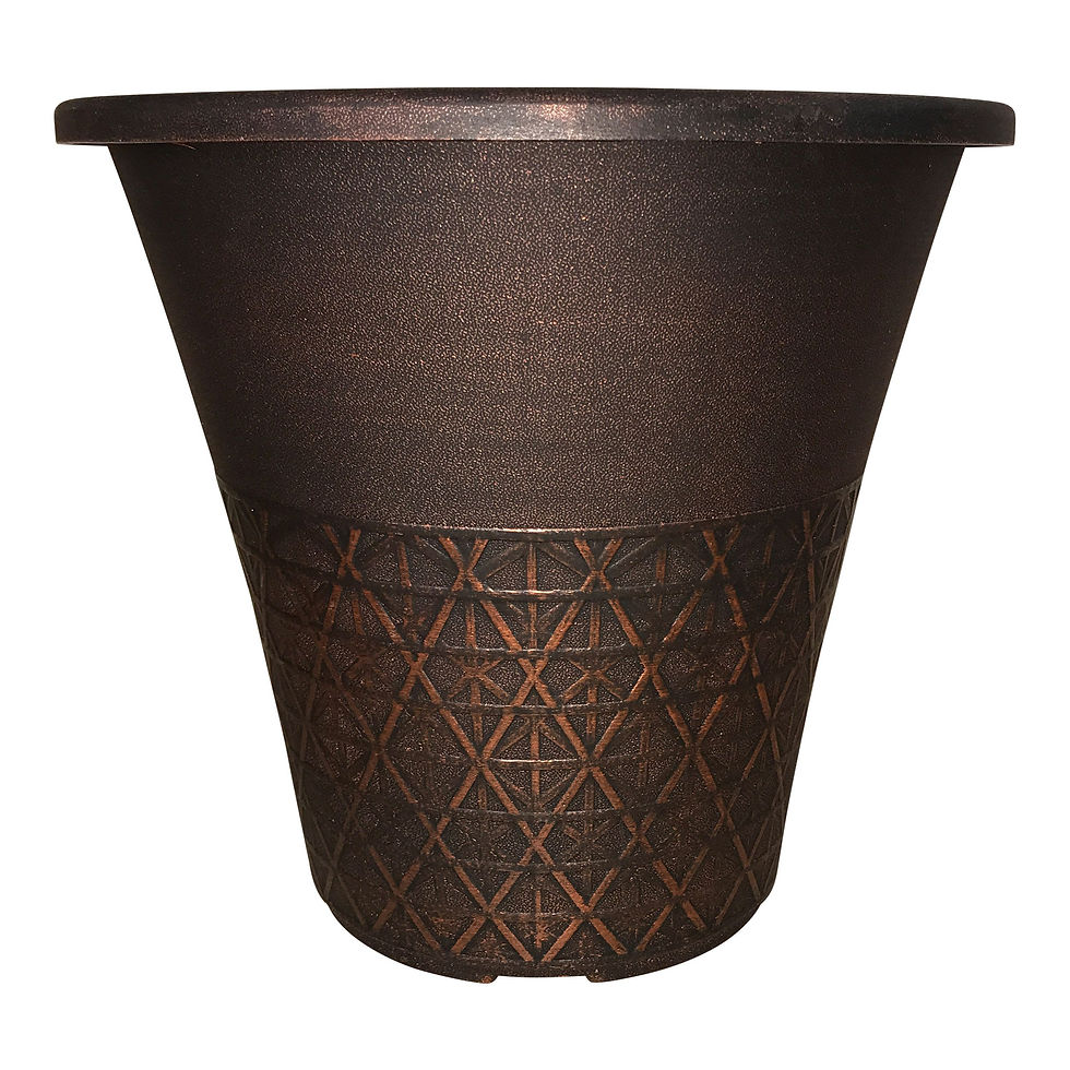 12" Laci 3-Gal