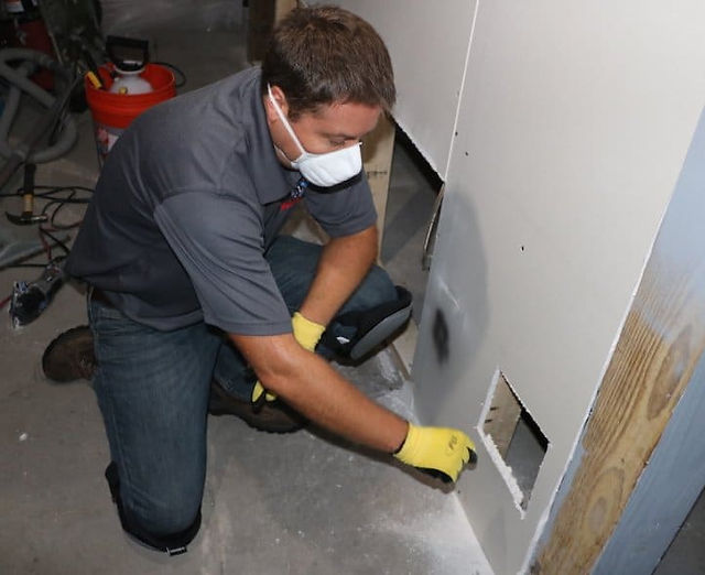 Mold Removal Company Toms River Nj