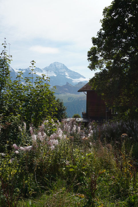 Gimmelwald