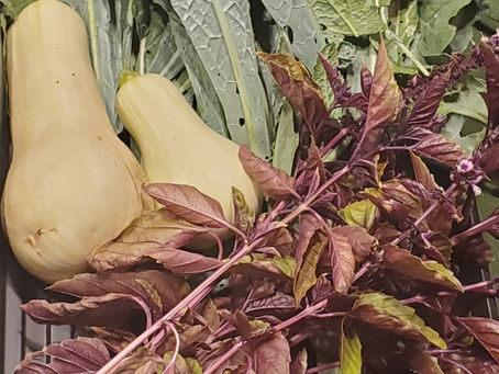 Fruits (and Vegetables) of My Labor