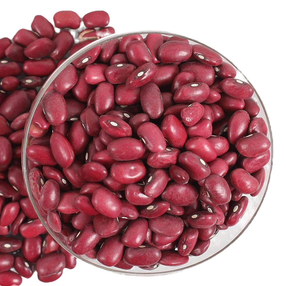jammu rajma