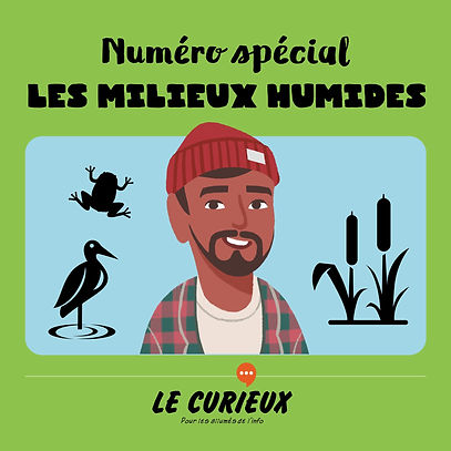 Les milieux humides – Février 2022- Dossier 43