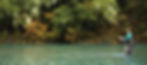 TFO_WebPhoto1200.jpg
