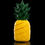 Thumbnail: Pineapple Fidget Toy