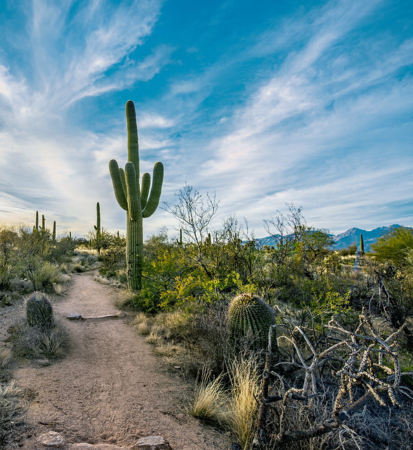 iStock-1370380576 (2).png