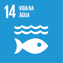 14 - Vida na Água.png