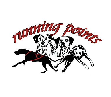 runningPoints.png