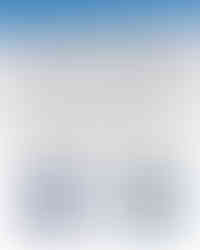 A1 Stonecutter_Page_1.jpg