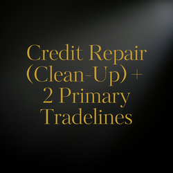 Credit Repair (Clean-Up) +  2 Primary Tradelines(9)