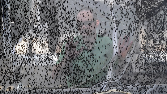 swarm.png