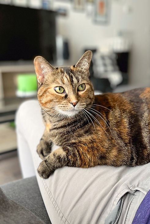 IMG_0718 2_edited_edited.jpg