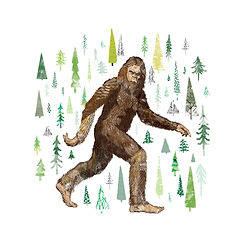 AK LLUSTRATION4.jpg