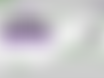 Black Friday 2025: The Best Affordable Humidifiers Australia