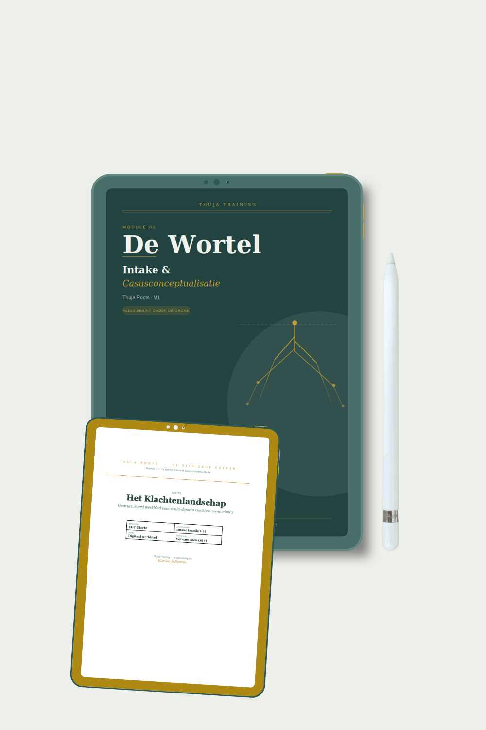 M1- De Wortel
