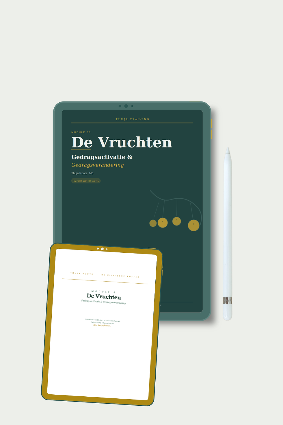 Thumbnail: Thuja Roots module 6 - 10 tools Gedragsactivatie