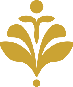 Thuja Seeds.png