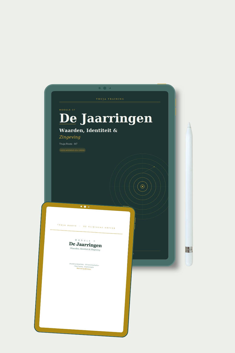 Thumbnail: Thuja Roots module 7 - 10 tools Waarden en zingeving